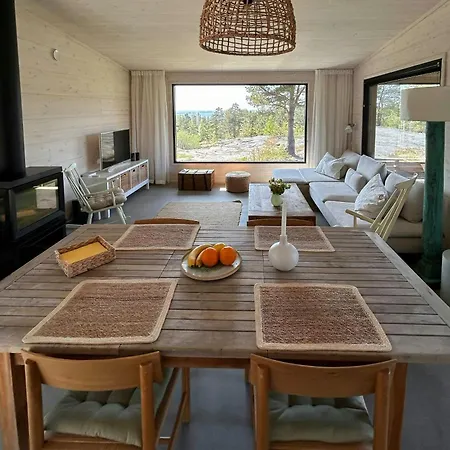Arkitekttegnet Med Utsikt Over Skagerak *
