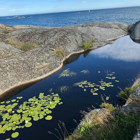 Дом отдыха Arkitekttegnet Med Utsikt Over Skagerak *